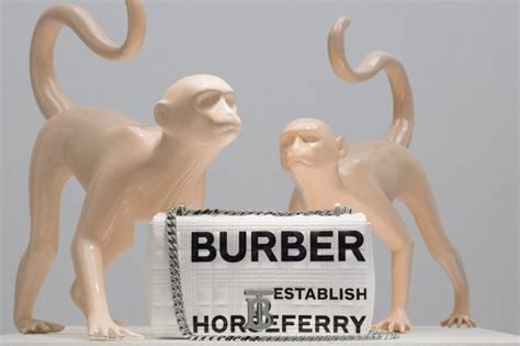 burberry animal kingdom|Burberry Animal Kingdom pop.